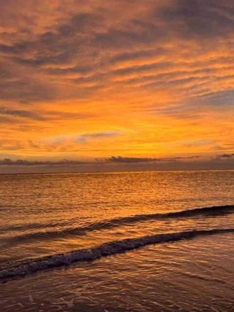 Hiddengem In Charming Sarasota, Florida别墅 外观 照片