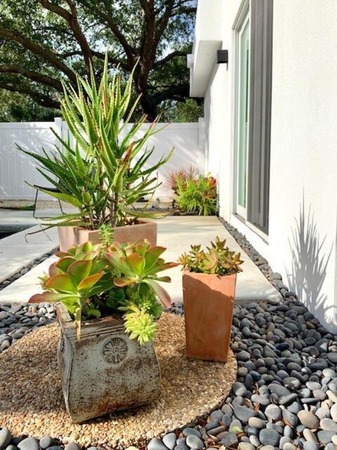 Hiddengem In Charming Sarasota, Florida别墅 外观 照片