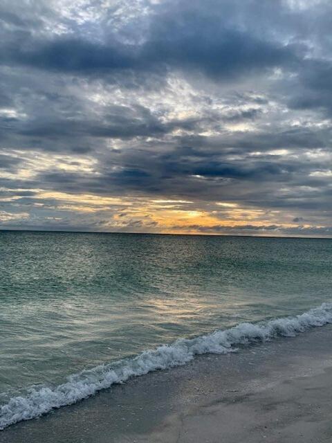 Hiddengem In Charming Sarasota, Florida别墅 外观 照片